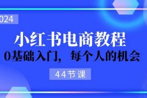 2024从0-1学习小红书电商，0基础入门，每个人的机会（44节）