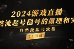 2024游戏直播-自然流起号稳号的原理和实战，自然流起号流程（11节）