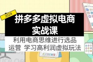 拼多多虚拟电商实战课：虚拟资源选品+运营，高利润虚拟玩法（更新14节）