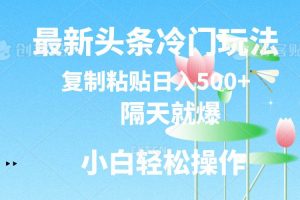 最新头条冷门玩法，隔天就爆，复制粘贴日入500+