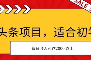 AI头条项目，适合初学者，次日开始盈利，每日收入可达2000元以上