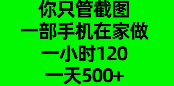 你只管截图，一部手机在家做，一小时120，一天500+