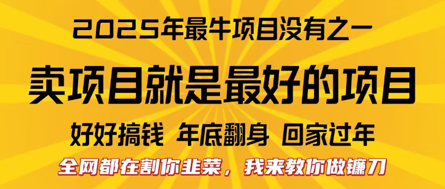 全网都在割你韭菜，我来教你做镰刀。卖项目就是最好的项目，2025年最牛互联网项目插图